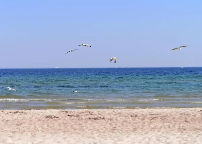 شقة Deutsches Haus Whg Dh8 بولتينهاجين