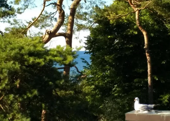 Deutsches Haus Whg Dh8 شقة بولتينهاجين